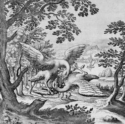 Birds Fighting from Musaeum Hermeticum