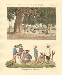 Cochin Chinese uses and dresses