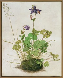Columbine