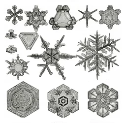Different forms of snowflakes