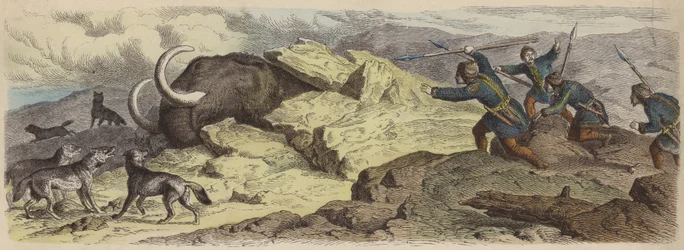 Discovery of the Body of a Woolly Mammoth in Siberia