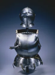 Elements from a Partial Suit of Armour