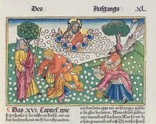 Exodus 16:13-22 God provides quail and manna to the Israelites, from the Nuremberg Bible