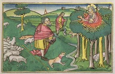 Exodus 3:1-22 The Burning Bush, and Exodus 4:1-4 God arms Moses with the miraculous rod, from the Nuremberg Bible