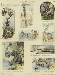 Funny Pictures from Africa