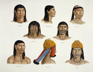 Heads of South American Indians, from Travels in Brazil
