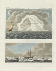 Icebergs and Icefields