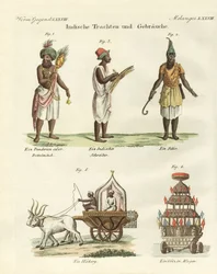 Indian Dresses