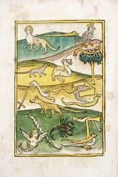 Monsters and Snakes in a Landscape