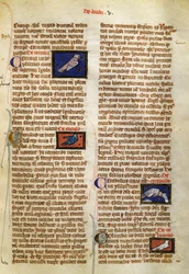 Page from De Natura Rerum on Birds, by Albertus Magnus (circa 1200-1280)