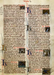 Page from De Natura Rerum on birds