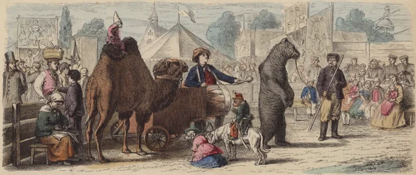 Performing Animal Troupe in Germany