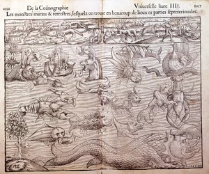 Plate representing all types of marine and terrestrial monsters found in northern regions: Xilography taken from Sebastien Munster