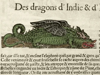 Representation of a dragon from India. Xilography taken from Sebastien Munster