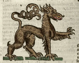 Representation of a fantastic creature. Xilography taken from Sebastien Munster