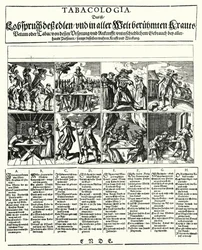 Tabacologia (engraving)