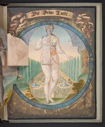 Tables Representing Man in Three Different States, Add MS 5788