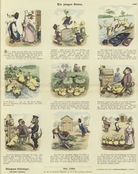 The Ducklings
