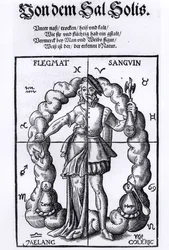 The Four Humours, from Quinta Essentia by Leonhart Thurneisser zun Thurn published in Leipzig, 1574