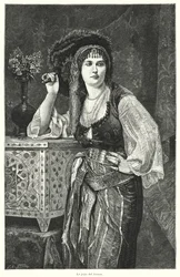 The Jewel of the Harem