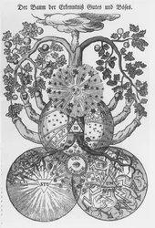 The Tree of knowledge of good and evil