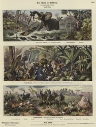 The World in Pictures: German Africa