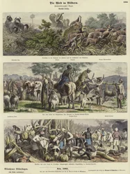 The World in Pictures: German Africa