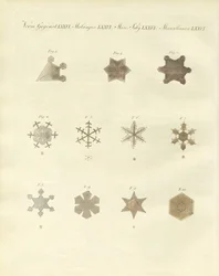 The Snow with its Crystallizations