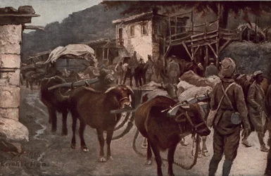 Turkey in the World War