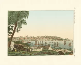 Views of the City of Sydney