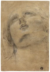 Head of the Virgin Looking Upwards