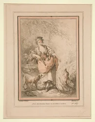 Girl Feeding Hens