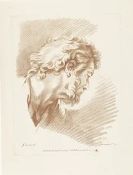 Head of a Man with Beard Facing Right