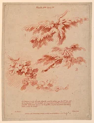 Plate 2 from Livre Ier, Principes du dessin dans le genre du Paysage