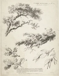Study of Branches with Leaves (1st Book of Landscape)