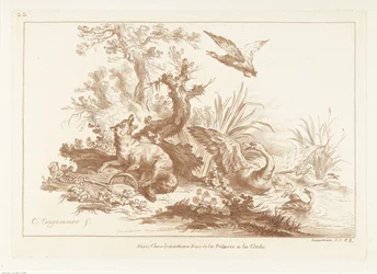 Fox with paw in trap and flying swan and ducks by water