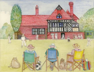 The Cricket Match