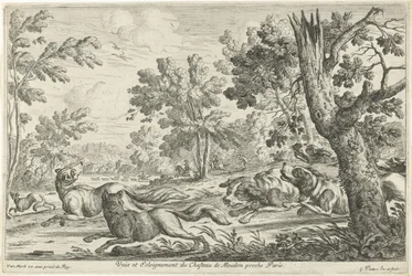 Fox Hunt