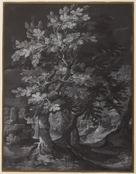 Forest Scene