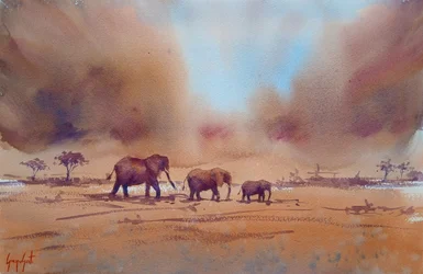 African Elephant Journey