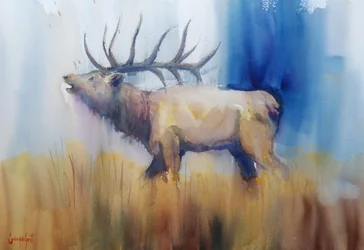 Autumn Elk Bugle