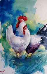 Colorful Rooster and Hen