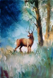 Deer in Misty Forest