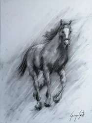 Dynamic Charcoal Horse