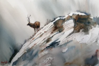 Elk In Winter Mountains
