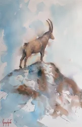 Majestic Alpine Ibex
