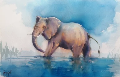 Majestic Elephant Wading