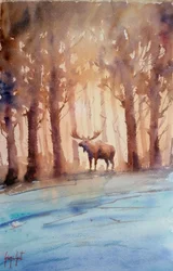 Majestic Moose Winter Forest
