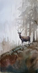 Misty Forest Stag