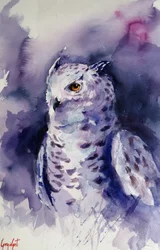 Mystical Purple Owl